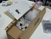 Cat in a Box