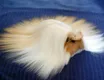 Animal Haircut Cavy