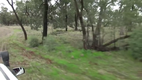 Man punches a kangaroo in the face to rescue his dog