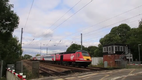 Flying Scotsman - Zug-Enthusiasten