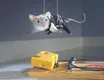 Mission Impossible Mouse