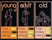 young - adult - old