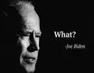 What - Joe Biden (``Democrats´´) Zitat