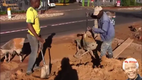 Facharbeit in Afrika
