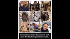 Realsatire - Greta Thunberg - Kindheit gestohlen - F�r die Klima-Agenda m�ssen eben Opfer gebracht werden! - Kobaltminen f�r Elektroautos