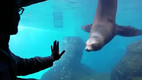 Seel�wentouchscreen