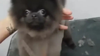 Wenn ihr ganz schnell gute Laune braucht!
