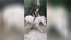 F�tterung!