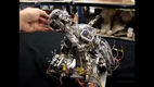 Amazing Animatronics by John Nolan