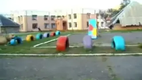 Parkour-Hund