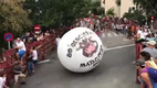 Riesige B�lle ersetzen - Stiere beim Stierlauf - Boloencierro Mataelpino