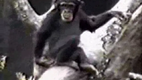 Stinky