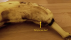 Spider bursts out of a Banana