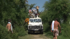 SAFARI (REMI GAILLARD)