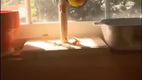 Deutschland unter der Einheitspartei CDUCSUSPDFDPGr�neLinke in einem Video erkl�rt