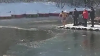 Rettung - Hund im Gagarin Park in Simferopol