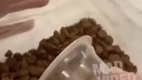 Das hast du jetzt nicht getan!