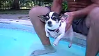 Luftschwimmen