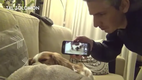 Schnarchenden Hund mit den eigenen Waffen schlagen