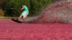 Wakeboarding a cranberry bog