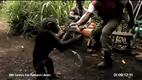 A monkey shoot AK-47 machine gun in a group of soldiers who laughed at it