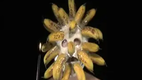 WTF - Banana