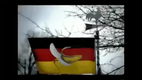 Sind wir wirklich so dumm