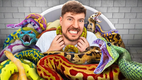 Would You Sit In Snakes For $10,000